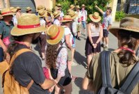 Vins, Vignes et Terroirs : Cabrières 2024 Vins, Vignes et Terroirs : Cabrières 2024