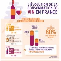 La Déconsommation de Vin en France