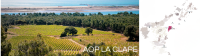 D&eacute;couvrez nos Vins AOP LA CLAPE