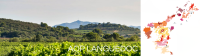 D&Eacute;COUVREZ NOTRE SELECTION  AOC LANGUEDOC