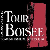 la tour boisée