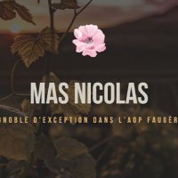 mas nicolas