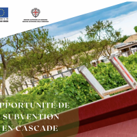 OENOMED en France publie un appel à des subventions en cascade dans le secteur vinicole