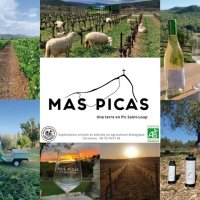 Mas Picas