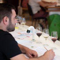 Formations initiation et perfectionnement dégustation