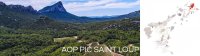 D&Eacute;COUVREZ NOTRE SELECTION PIC SAINT LOUP