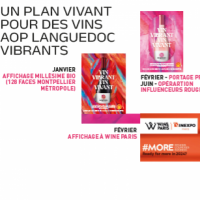Cliquer ici