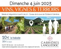 Vins, Vignes et Terroirs : Cabrières 2023 Vins, Vignes et Terroirs : Cabrières 2023