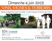 Vins, Vignes et Terroirs : Saint Saturnin 2023 Vins, Vignes et Terroirs : Saint Saturnin 2023