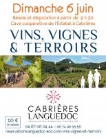 vins vignes et terroirs cabrieres vins vignes et terroirs cabrieres