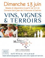 vins vignes et terroirs gres de montpellier vins vignes et terroirs gres de montpellier