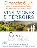 Vins vignes et terrois 2021 saint chinian Vins vignes et terrois 2021 saint chinian