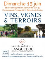 vins vignes et terroirs aoc saint saturnin vins vignes et terroirs aoc saint saturnin