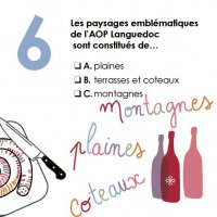 Le Quiz de l'été de l'AOP Languedoc