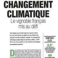 Changement climatique : le vignoble français mis au défi