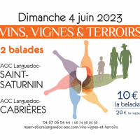 Vins Vignes et Terroirs Vins Vignes et Terroirs