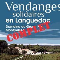 Vendanges Solidaires Languedoc - 10 septembre 2023