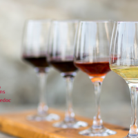 Quels sont les arômes d’un vin ? 