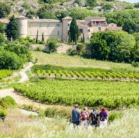 Vins, Vignes et Terroirs : Saint Saturnin 2023 Vins, Vignes et Terroirs : Saint Saturnin 2023