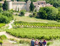 Vins, Vignes et Terroirs : Saint Saturnin 2023 Vins, Vignes et Terroirs : Saint Saturnin 2023