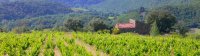 Domaine thierry navarre