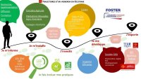 Ensemble des aides et financements pour les vignerons 