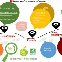 Ensemble des aides et financements pour les vignerons 