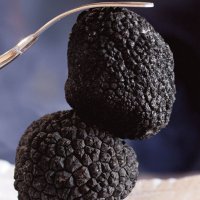 SAVEURS HIVERNALES A SAPORTA : LA TRUFFE ! SAVEURS HIVERNALES A SAPORTA : LA TRUFFE !