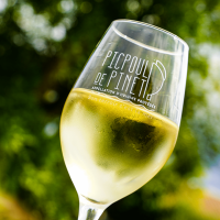 L'Accord Inattendu : Jeudi 23 novembre : un repas gastronomique 100% AOP Picpoul de Pinet sans aucun produit de la mer ! 