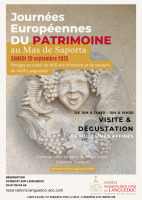  Le Mas de Saporta : Un Trésor Historique et Viticole du Languedoc