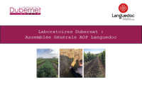 Appréhender la viticulture en AOP face aux défis climatiques 