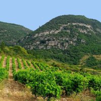 DOMAINE DE FERRUSSAC