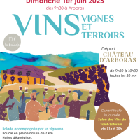 Vins, Vignes et Terroirs : Saint Saturnin 2025