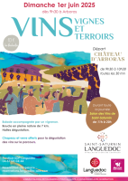 Vins, Vignes et Terroirs : Saint Saturnin 2025 Vins, Vignes et Terroirs : Saint Saturnin 2025