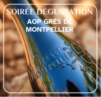 Soir&eacute;e D&eacute;gustation &agrave; la Boutique de la Maison des Vins du Languedoc