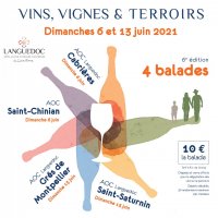 vins vignes et terroirs vins vignes et terroirs