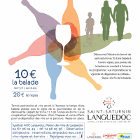 Vins, Vignes et Terroirs : Cabrières 2023