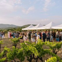 Circulade Vigneronne en Terrasses du Larzac 2025