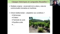 youtube-Zh7vY1OLJSk-1726-1648650908